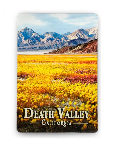 Death Valley Bloom Magnet