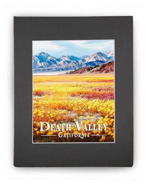 Death Valley Bloom Matted Print