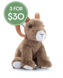 Hug 'Ems Big Horn Sheep